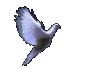 k.gif (26433 bytes)