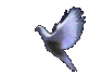 k2.gif (26433 bytes)